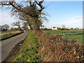 View along Blower's Lane in NR33 8EF