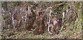 Icicles on rock face in SA33 4LD