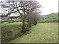 Footpath towards Cononley from Gill Head in BD20 8NH