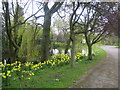 Pond, Rookwood Hall near Abbess Roding in CM5 0NU