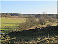 Farmland and woodland around the Swin Burn in Chollerton