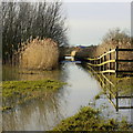 Swilgate floods, Tewkesbury in GL20 7TY