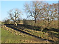 Farm track and farmland land south of Reavercrag in Chollerton