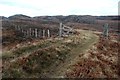A peat track leaving the A838 near Rispond in IV27 4QE