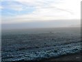 Frosty field in Harrold Ward