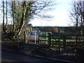 Footpath, Dalton Piercy in Dalton Piercy