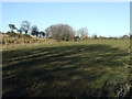 Farmland near Hart on the Hill in Dalton Piercy