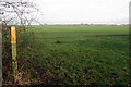 Footpath over the field to Kempston Hardwick in MK43 9GG