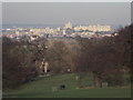Windsor Great Park: castle view from near Cranbourne Gate in SL4 2BT