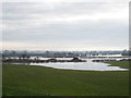 Fields in flood near Holt in LL13 9YN
