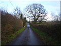 A bridge in Forest Mill Lane, Horton in TA19 9QT