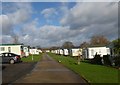 Road going north in Willows Caravan Park in PO22 9PH