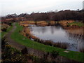 Pownd Penllergaer Pond in SA4 9AT
