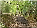 Bridleway, Heathend Copse in GU28 9BY