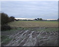 Farmland south of High Levels Bank in DN8 5SQ