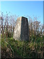 Triangulation Pillar (S3544) in Bonymaen Community