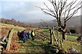 Llwybr ceffyl Trebannws bridleway in SA8 4DX