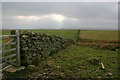 Wall, Kirkstreveland Rigg in Lartington