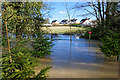 Burst Banks of River Chelmer in CM6 3UA