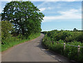 Country road near Nether Heyford in NN7 3FA