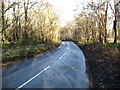The lane to Withington from the south in GL54 4NX