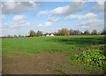 View towards Barnaby Farm, Ringsfield in NR34 8LL