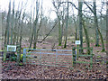 Fawley Bottom Wood in RG9 6JJ