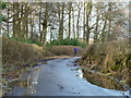 Puddles on the lane in RG9 6ND