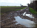 Slushy farm track on Langtoft Fen in PE6 9QB