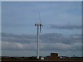 C & F Wind turbine off Black Drove in PE6 9PU