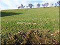 Glyndwr Way waymarker post down in the field in SY21 9JG