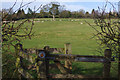 Sheep pasture at Withybrook in CV7 9LT