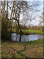Pond near Blackwell Farm in TN22 5JB