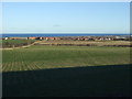 Farmland towards the sea in TS27 3BP