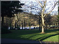 Lake in Ward Jackson Park in TS26 0AE