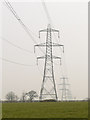 Line of pylons in NR19 2LU