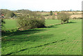 Fields and boundary ditch north of King's Lane in NR34 8TE
