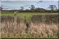 Stile and Footpath in CF5 6TN