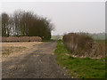 farm track to Church farm in PE32 2LX