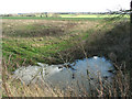 Small pond surrounded by fields in NR34 7TR
