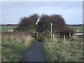 Footpath heading north in Longbeck Ward