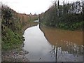 Flooding on Langford Lane in TA2 6NZ