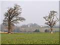 Trees and farmland in NR10 5PU