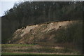 Quarry wall SSSI, Welton le Wold in LN11 0QT