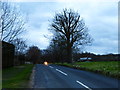 Tithebarns Lane with headlight in GU23 7LE