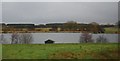 Baden Hall Fishery in ST21 6LG