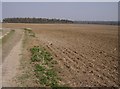 Farmland north-east of North Waltham in RG25 2DJ