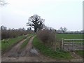 Farm track in ST19 9PQ