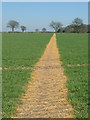 Follow The Yellow Path in IP9 2PH