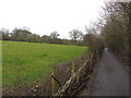 Cyclepath and footpath near Chiseldon in SN3 6GE